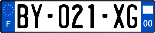BY-021-XG