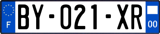 BY-021-XR