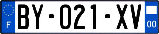 BY-021-XV