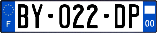 BY-022-DP