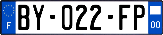 BY-022-FP
