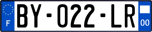 BY-022-LR