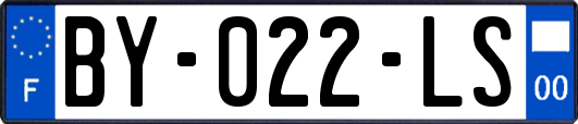 BY-022-LS