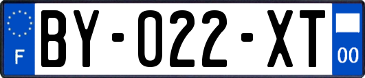 BY-022-XT