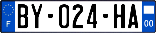 BY-024-HA