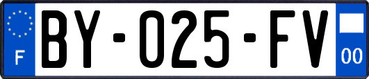BY-025-FV