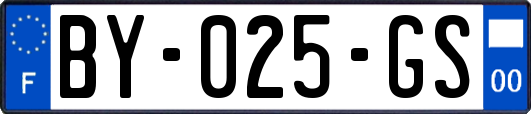 BY-025-GS
