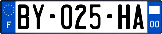 BY-025-HA