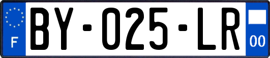 BY-025-LR