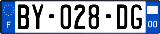BY-028-DG
