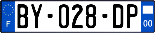 BY-028-DP