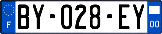 BY-028-EY