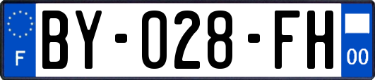 BY-028-FH