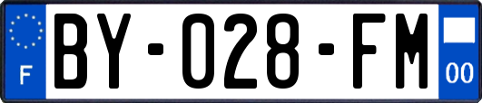 BY-028-FM