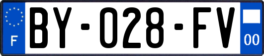 BY-028-FV