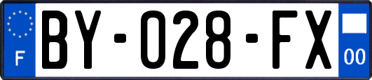 BY-028-FX