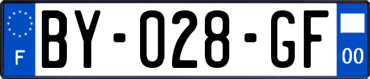 BY-028-GF