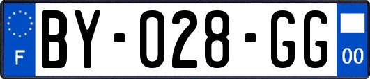BY-028-GG