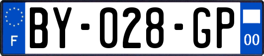 BY-028-GP