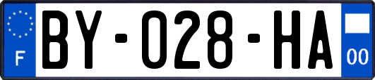 BY-028-HA