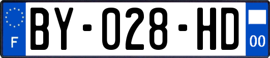 BY-028-HD