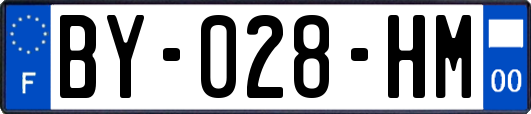 BY-028-HM