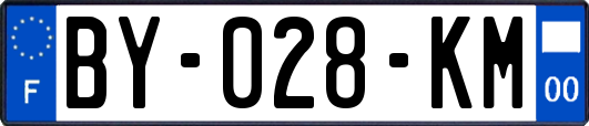 BY-028-KM