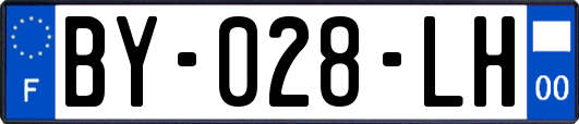 BY-028-LH