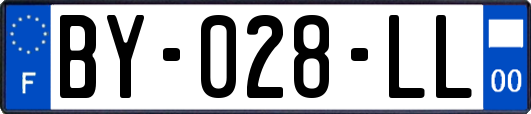 BY-028-LL