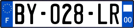 BY-028-LR