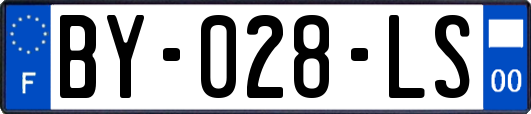 BY-028-LS