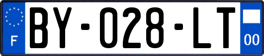 BY-028-LT