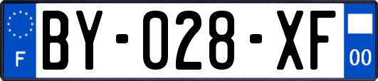 BY-028-XF