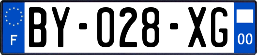 BY-028-XG