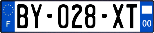 BY-028-XT