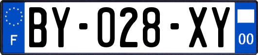 BY-028-XY