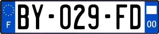 BY-029-FD