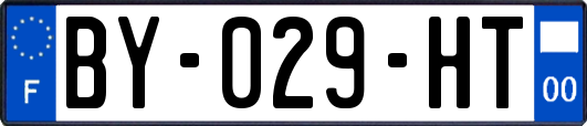 BY-029-HT