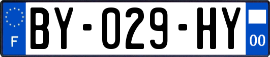 BY-029-HY