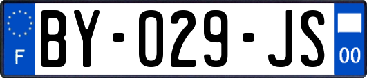 BY-029-JS