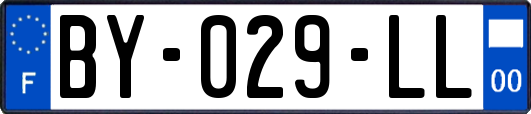 BY-029-LL