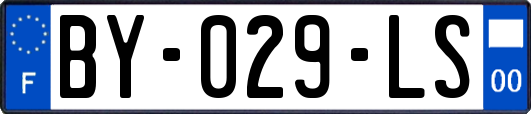 BY-029-LS