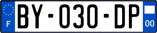 BY-030-DP