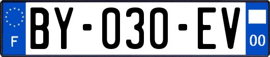 BY-030-EV