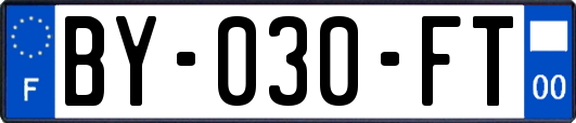BY-030-FT