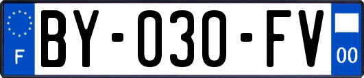 BY-030-FV