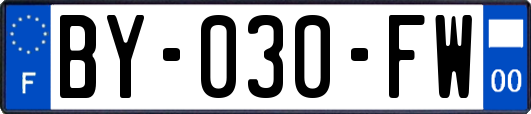BY-030-FW