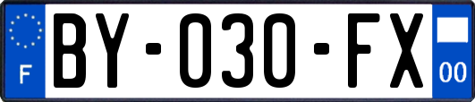 BY-030-FX