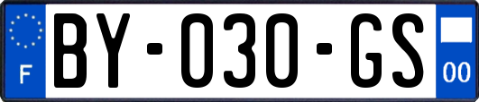 BY-030-GS