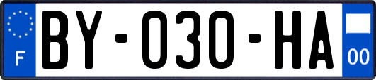 BY-030-HA
